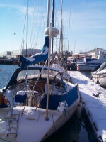 In the winter-harbor